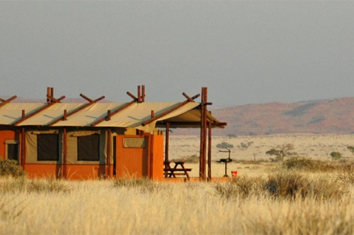 Desert Camp 004